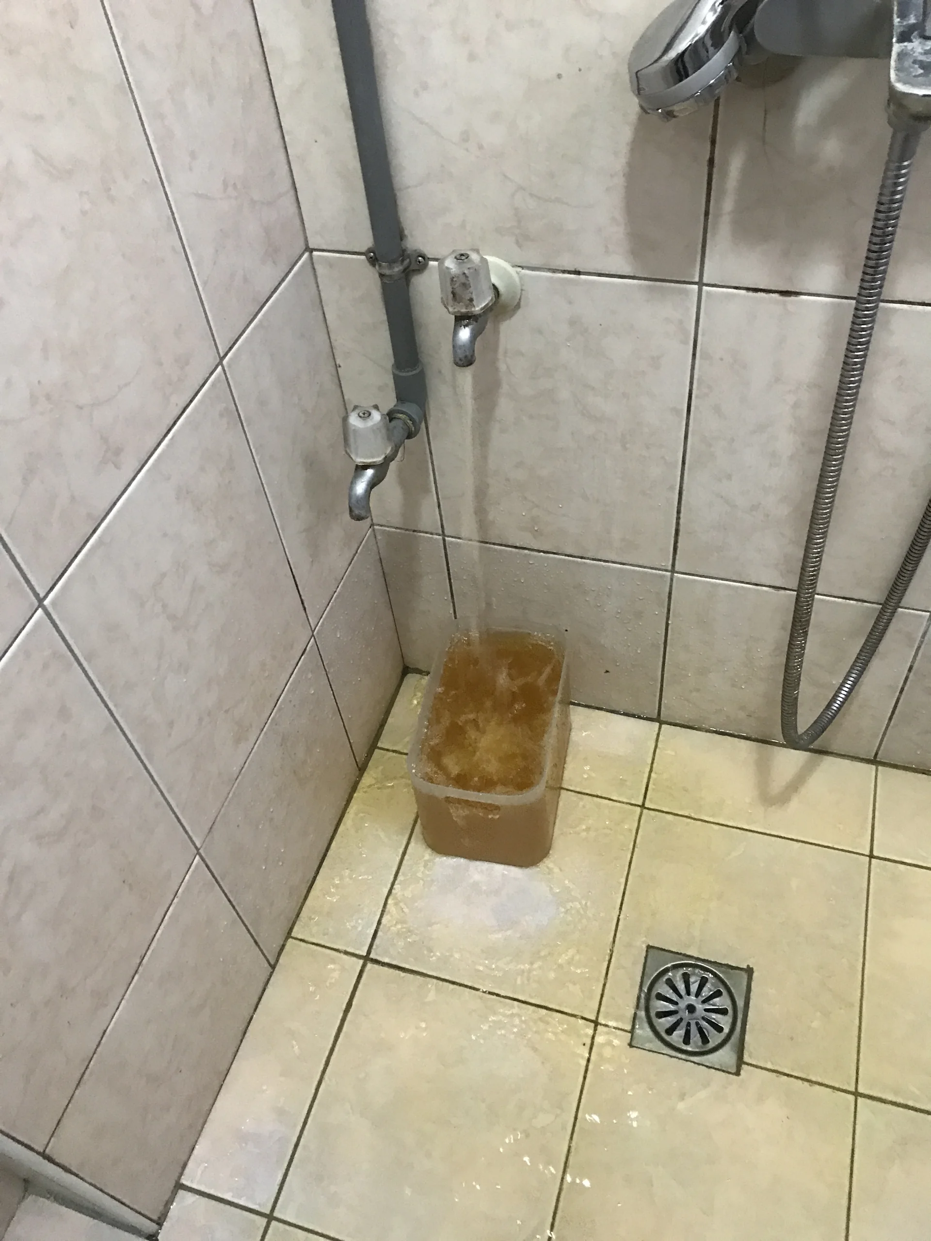 居家清洗記錄